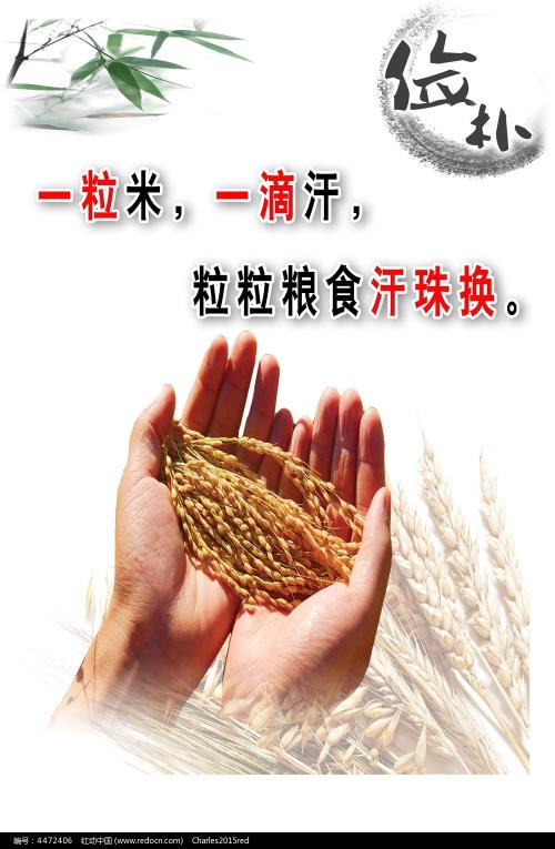 林权证需要什么资料